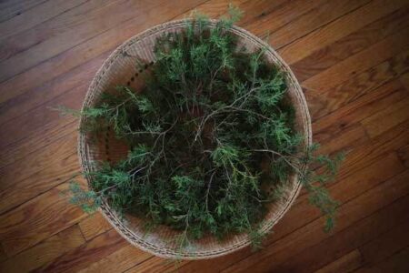 How to Prepare Herbal Smoke Cleansing Sticks Image